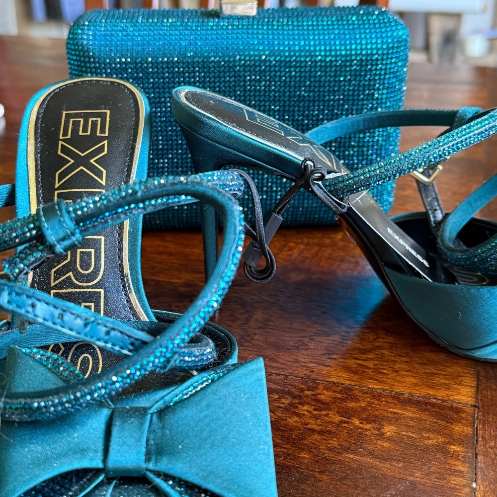 Evening Shoe and Handbag Set